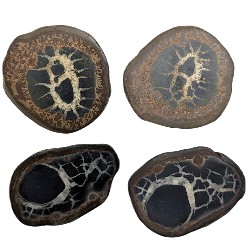 Septarian Nodule - Large