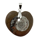 Fossil Ammonite - Heart Shaped Necklace