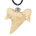 Fossil Shark Tooth with Bead Necklace