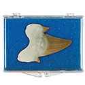 Fossil Shark Tooth Educational Box