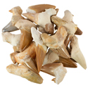 Fossil Shark Tooth - B Quality