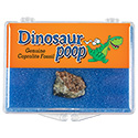 Dinosaur Poop Natural Educational Box