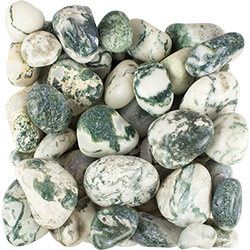 Tree Agate Tumbled Stone