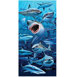 3D Shark Poster