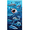 3D Shark Poster