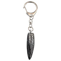 Key Chain - Orthoceras Bullet