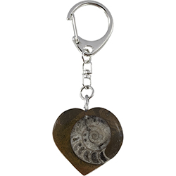 Fossil Ammonite Heart Key Chain