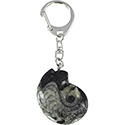 Fossil Goniatite Key Chain