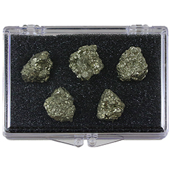 Iron Pyrite Educational Box