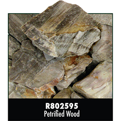 Rough Stone - Petrified Wood 19PPP