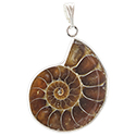 Small Ammonite Necklace