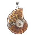 Sutured Polished Ammonite Necklace