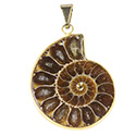 Ammonite Necklace - Gold