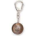 Key Chain - Ammonite Circle
